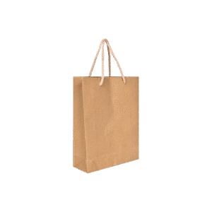 Size 8.6 x 5.5 x 9 Kraft Paper Carry Bag with Handle